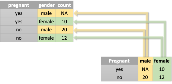 From Wide to Long: `pivot_longer()`